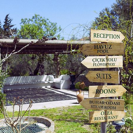 Olive Farm Of Datca Guesthouse (Adults Only) Esterno foto