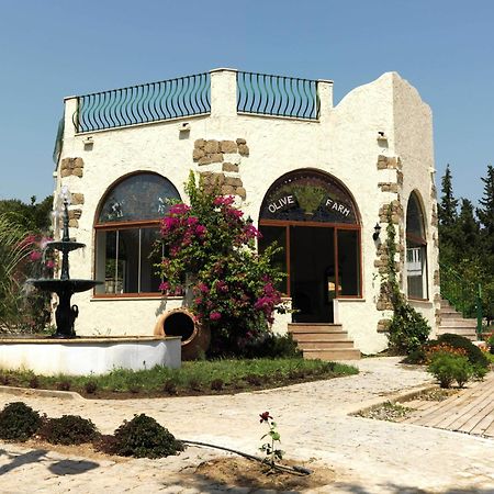 Olive Farm Of Datca Guesthouse (Adults Only) Esterno foto