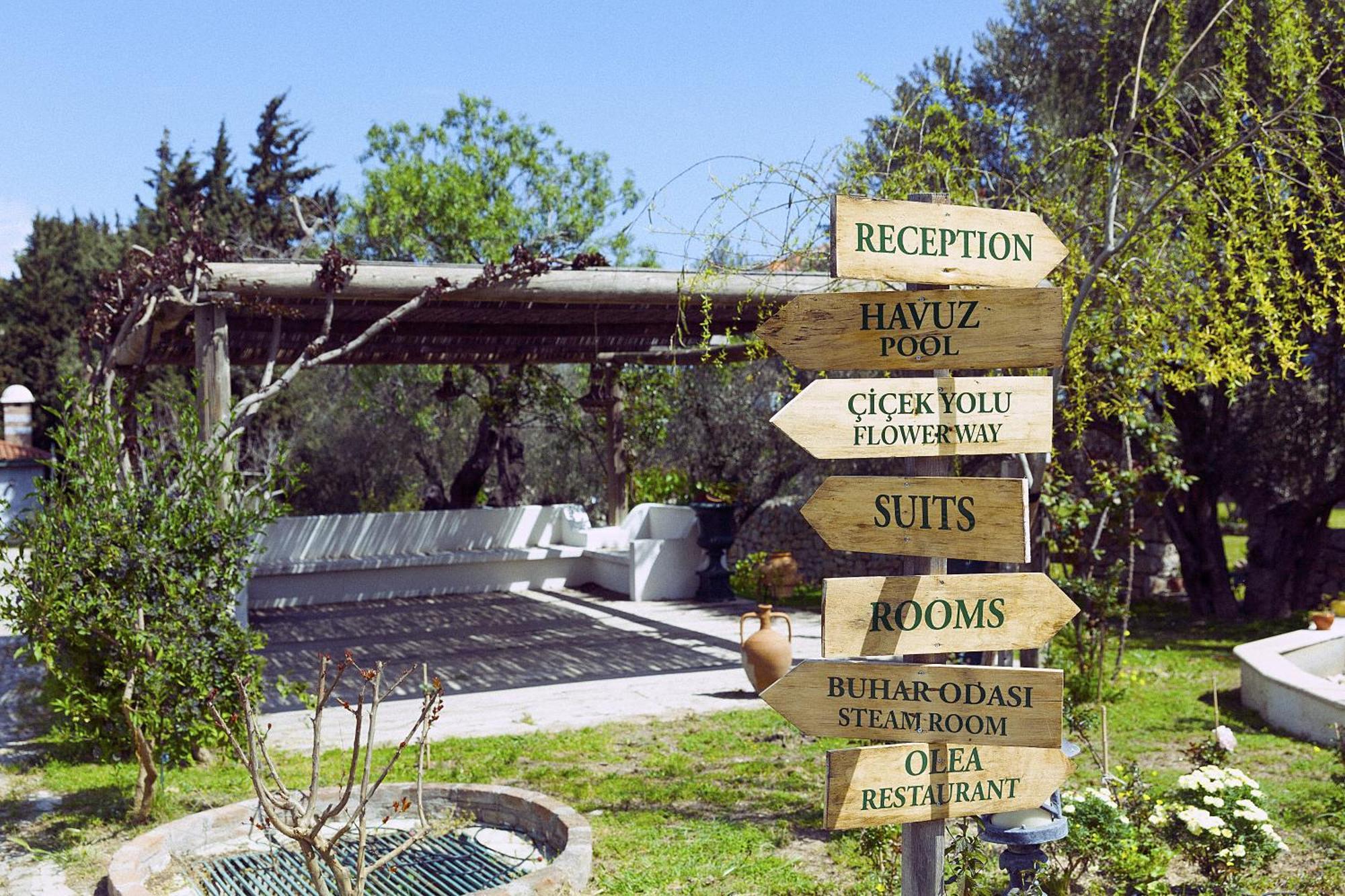 Olive Farm Of Datca Guesthouse (Adults Only) Esterno foto