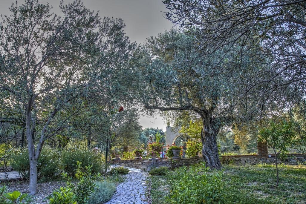 Olive Farm Of Datca Guesthouse (Adults Only) Esterno foto