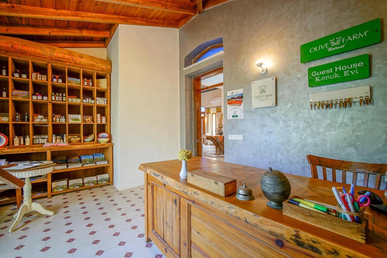 Olive Farm Of Datca Guesthouse (Adults Only) Esterno foto
