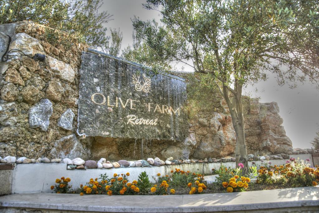Olive Farm Of Datca Guesthouse (Adults Only) Esterno foto