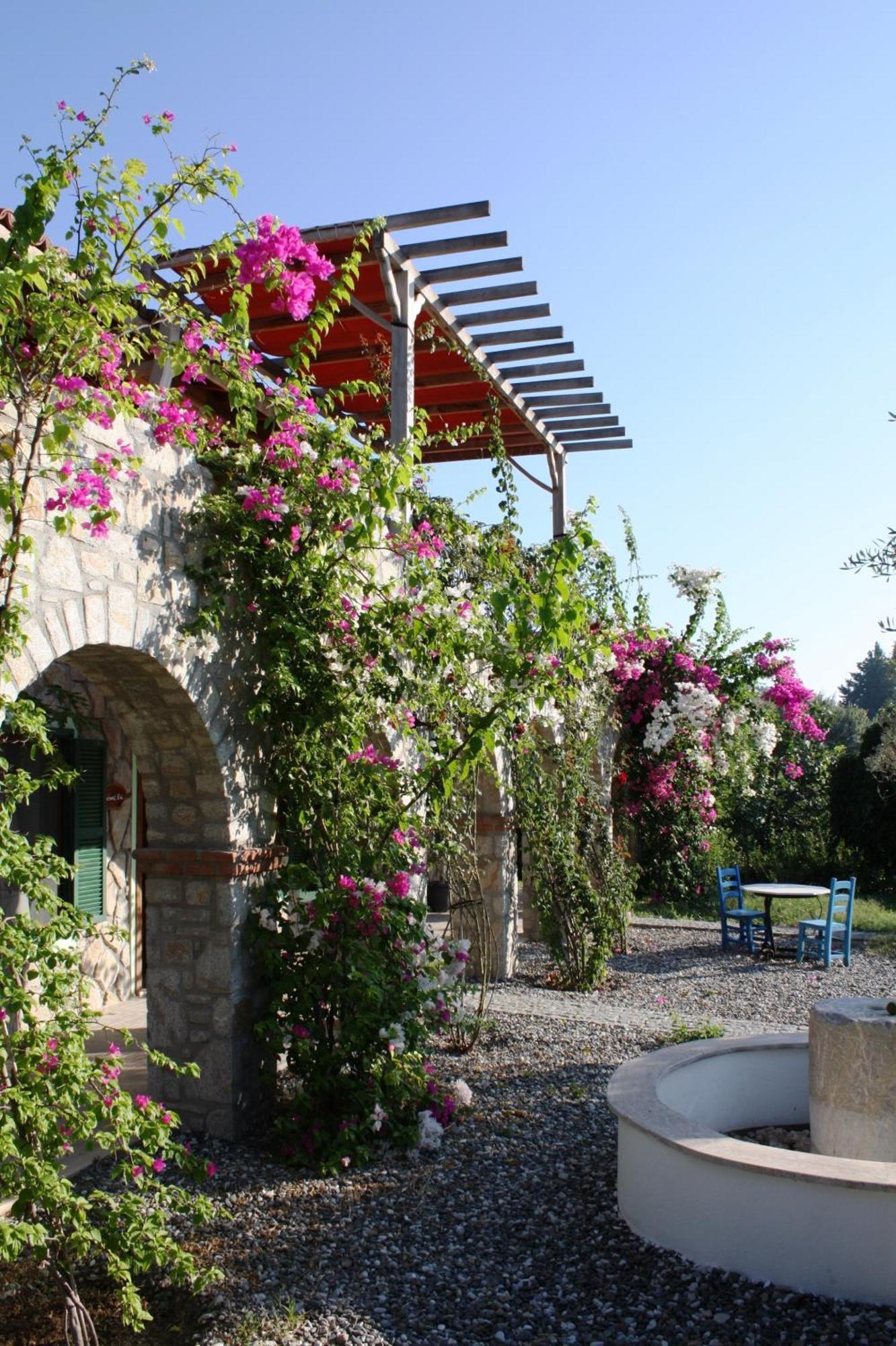 Olive Farm Of Datca Guesthouse (Adults Only) Esterno foto