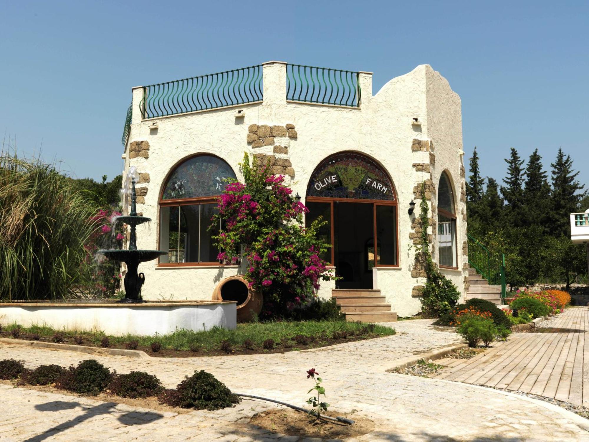 Olive Farm Of Datca Guesthouse (Adults Only) Esterno foto