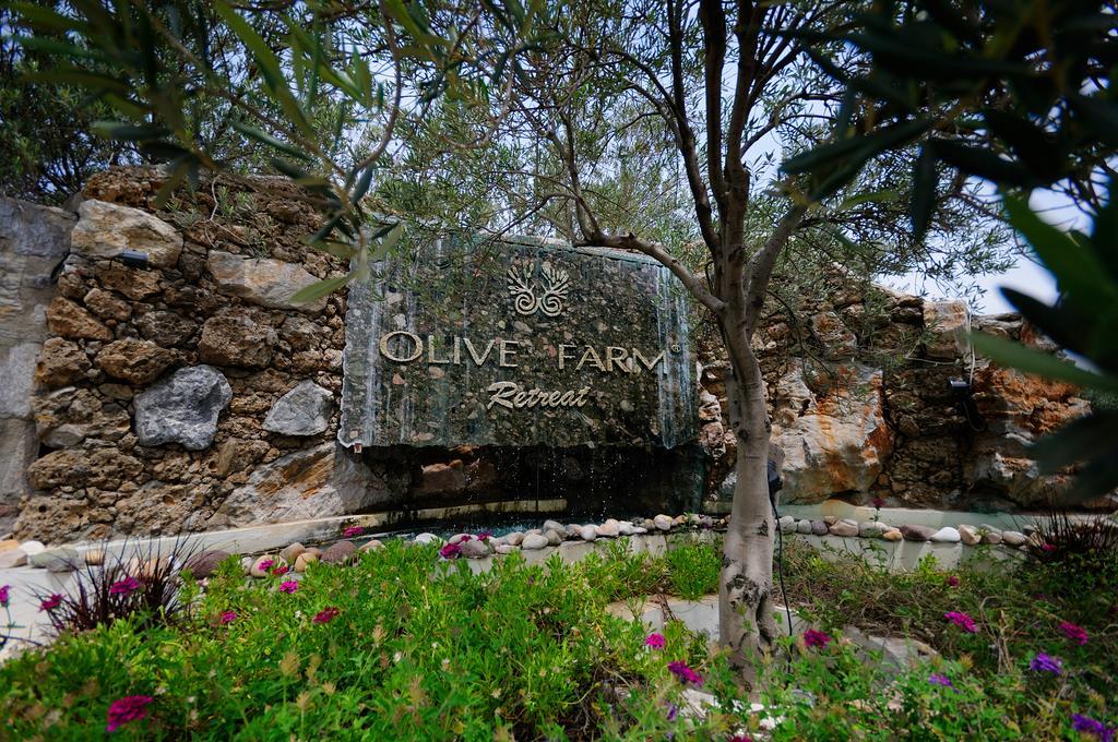Olive Farm Of Datca Guesthouse (Adults Only) Esterno foto