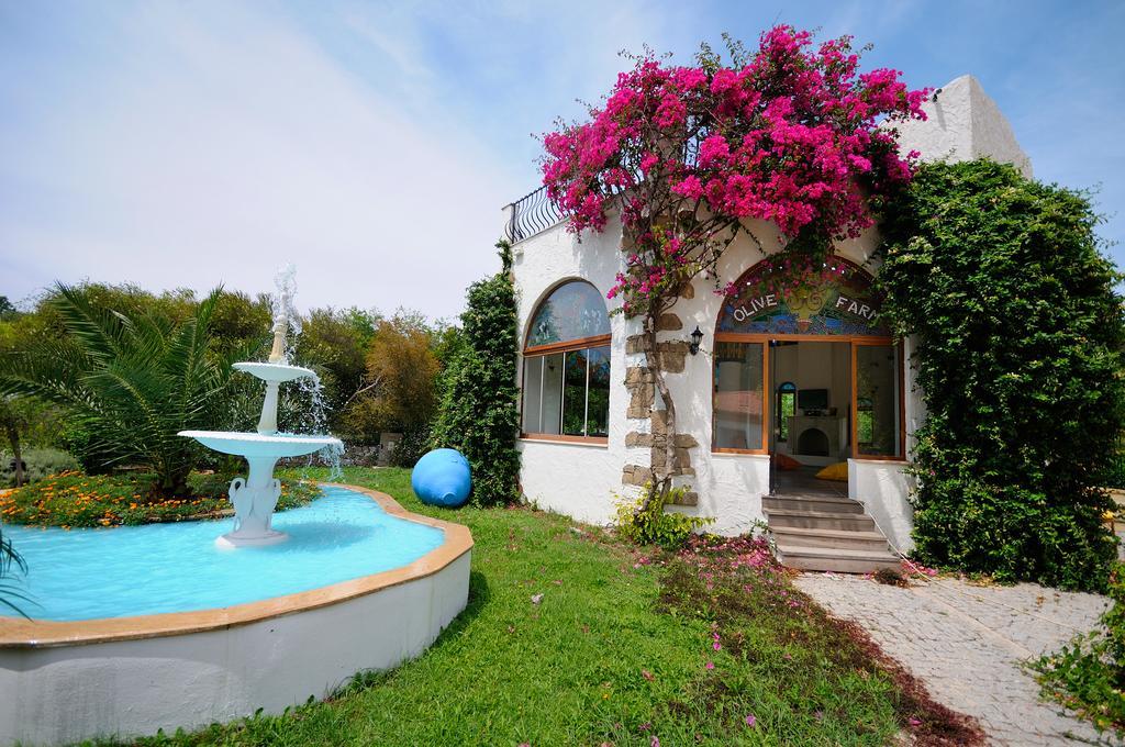 Olive Farm Of Datca Guesthouse (Adults Only) Esterno foto