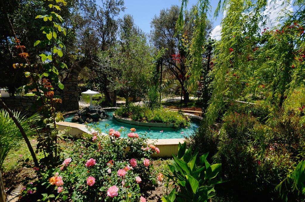 Olive Farm Of Datca Guesthouse (Adults Only) Esterno foto