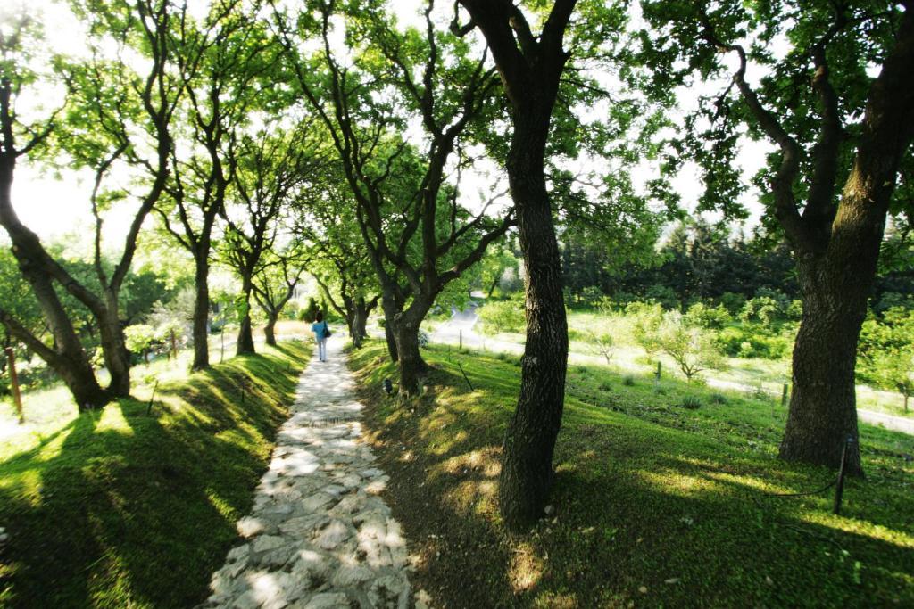 Olive Farm Of Datca Guesthouse (Adults Only) Esterno foto