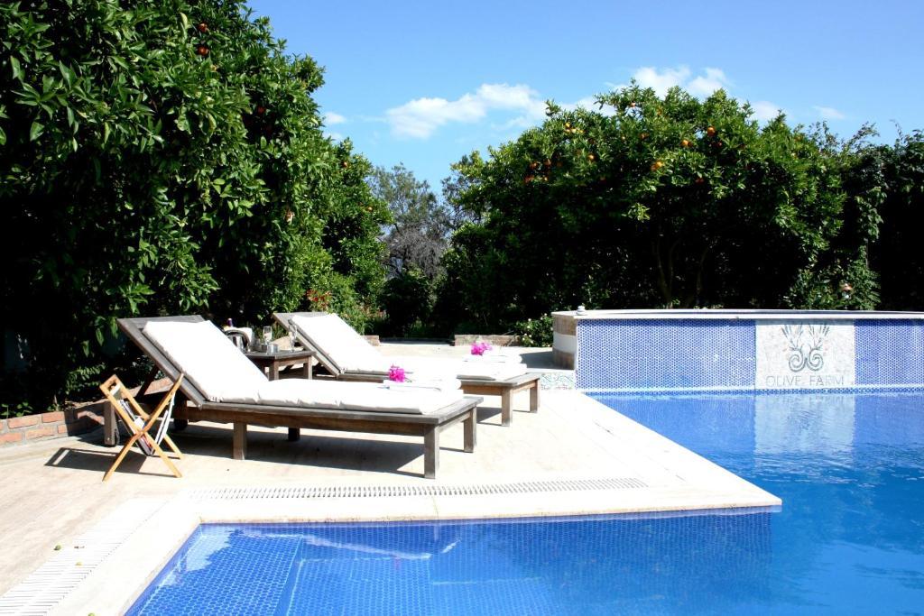Olive Farm Of Datca Guesthouse (Adults Only) Esterno foto