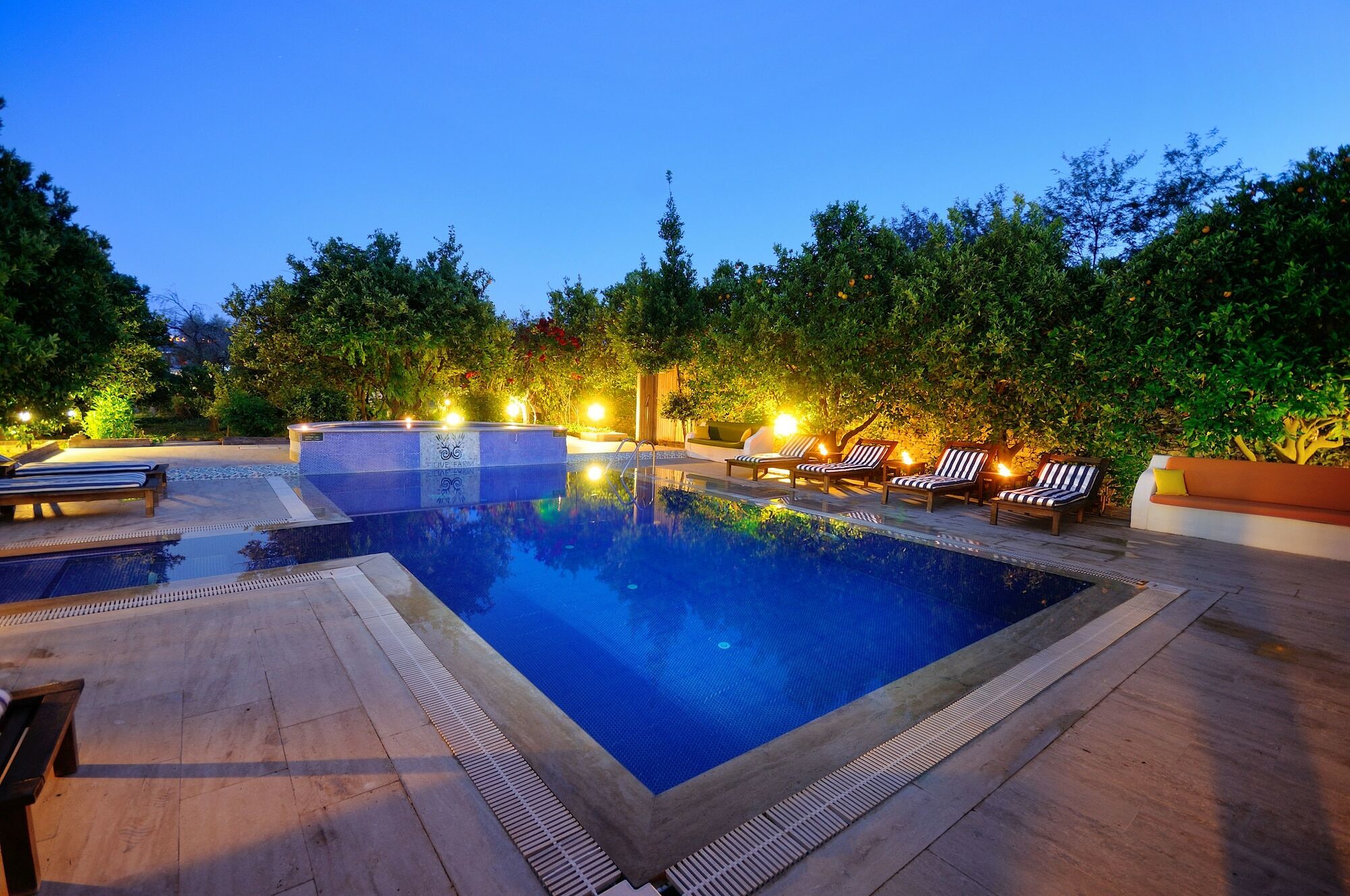 Olive Farm Of Datca Guesthouse (Adults Only) Esterno foto